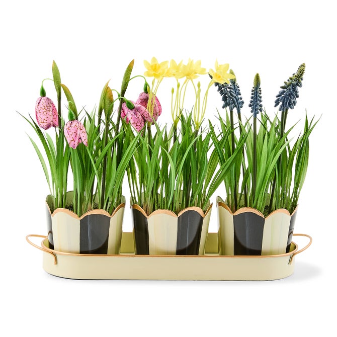 Triple Potted Blooms