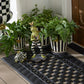Courtly Stripe Pots & Saucers, Set of 3