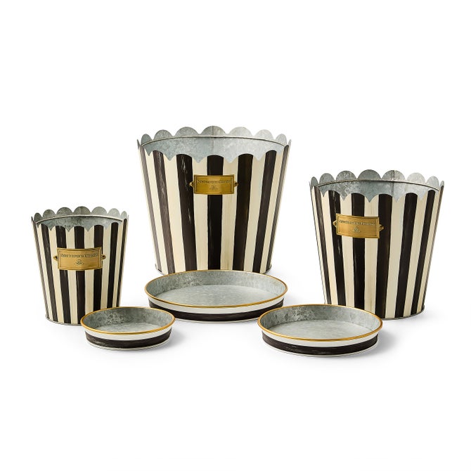 Courtly Stripe Pots & Saucers, Set of 3