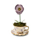 Violet Teacup Pansy