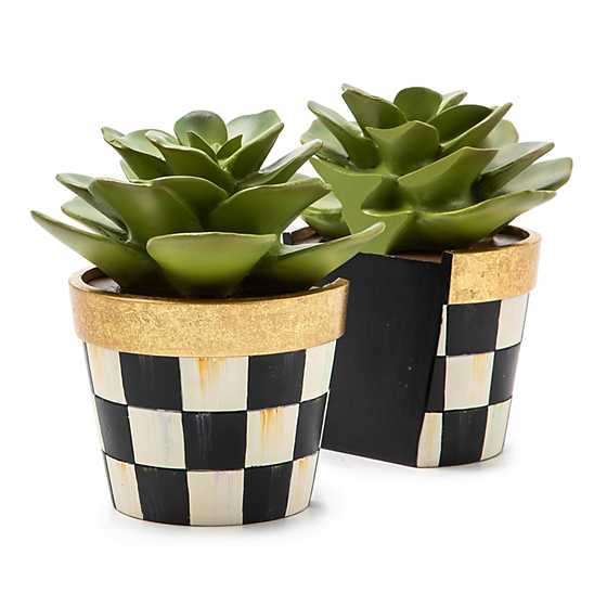 MacKenzie-Childs Succulent Bookends