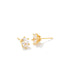 KENDRA SCOTT Cailin Gold Crystal Stud Earrings in White Crystal