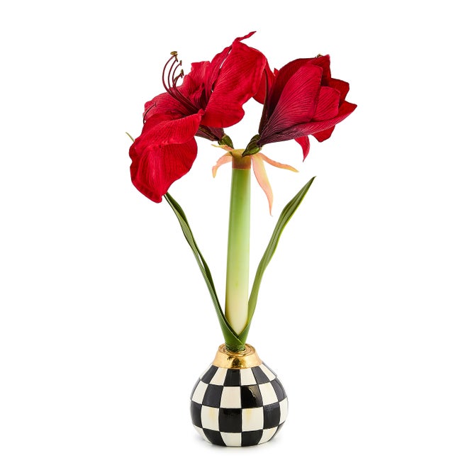 Courtly Check Amaryllis Bulb Arrangement