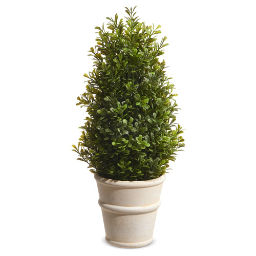 16" Potted Boxwood Topiary