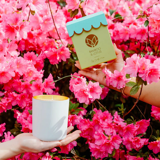Musee Scalloped Bamboo & Lotus Soy Candle