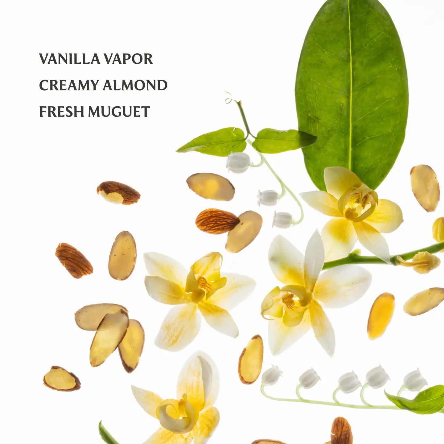 Touchland Vanilla Velvet Power Essence Body & Hair Fragrance Mist