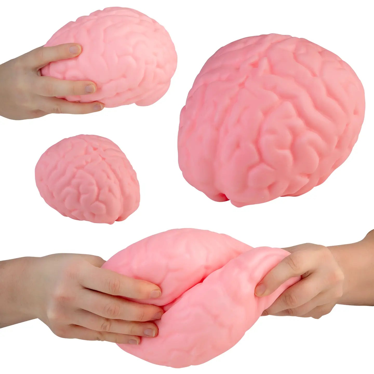 Easy Sqweezy Jumbo Brainy