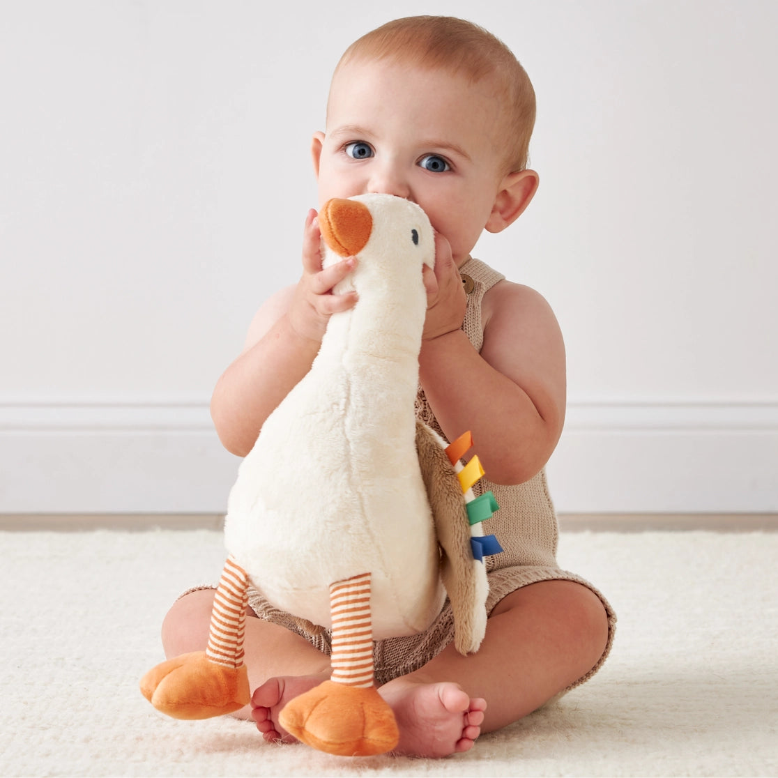 Itzy Ritzy Sweetie Snuggles™ Plush Gracie The Goose