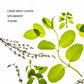 Touchland Frosted Mint Power Mist Hydrating Hand Sanitizer